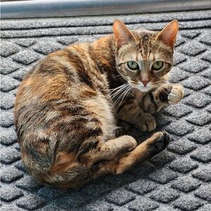 Meet your Posher, Annalisia